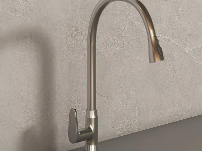 Modern Brushed Nickel Kitchen Faucet With Arch Spout And Lever Handle 3d model
