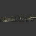Realistic Blue Green Crocodile With Scaly Texture Lying On Dark Surface With Reflection 3d model
