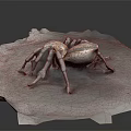 Detailed Spider Model With Red And Black Abdomen On Textured White Surface