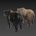 Realistic 3D Brown Bear And Black Bear Models Standing On Dark Background 3d model