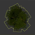 Tall Green Pine Tree With Orange Trunk And Lush Foliage On Gray Background