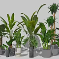 Various Green Potted Plants With Different Designed Pots For Modern Indoor Decoration