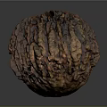 Rustic Dried Fruit With Textured Brown Surface And Circular Shape