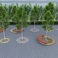 Tree Planters with Modern Design in Park Featuring Green Trees and Paved Ground 3d model