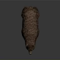 Realistic Brown Bear With Thick Fur Standing In Natural Wildlife Environment