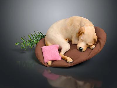 Yellow Labrador Retriever Lying Comfortably On Brown Dog Bed With Pink Pillow And Green Plant 3d model