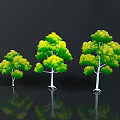 Three Green Trees In Different Sizes With Reflections On Black Background