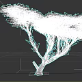 Lush Green Tree With Spreading Branches And Dense Foliage In Isolated Setting