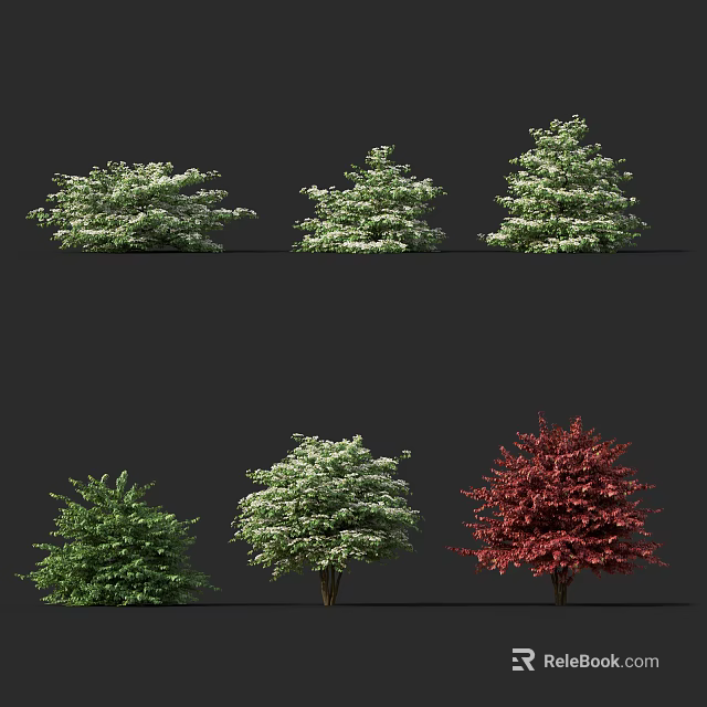 Ornamental Trees in Various Types Featuring Green Red Foliage and White Flowers 3d model 