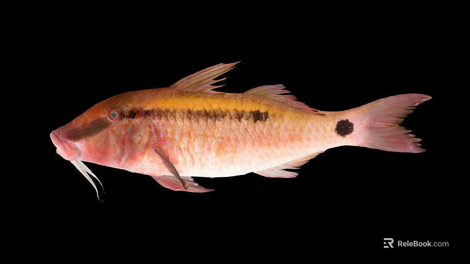 Vibrant Red And Yellow Spotted Fish With Whisker Like Features And Distinctive Markings 3d model 