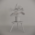 Green Monstera Potted Plant with Large Leaves in Black Pot on Wooden Table