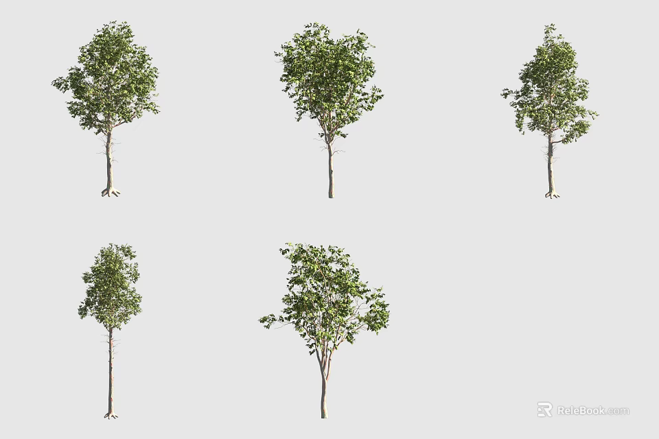 Different Types of Bushes with Green Leaves and Varied Natural Shapes 3d model 