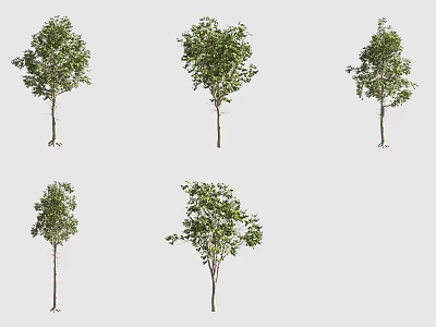Different Types of Bushes with Green Leaves and Varied Natural Shapes 3d model