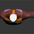 Medical Device 3D Anatomical Model of Human Torso with Color Coded Regions and Arm Structure