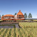 Rural Landscape Featuring Orange Circular Buildings Amid Rice Fields Outdoor Seating And Blue Sky