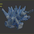 Coral Skeleton Structure In Marine Aquatic Life With Spiny Natural Formation