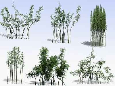 Various Bamboo Plant Varieties With Tall Slender Stems And Lush Green Foliage 3d model