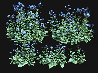 Vibrant Blue Purple Flowers With Lush Green Leaves Growing In Bushy Clusters 3d model