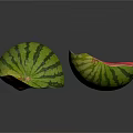 Fresh Whole Watermelon And Sliced Half With Green Stripes Red Flesh And Black Seeds
