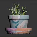 Colorful Decorative Flower Pot With Saucer And Green Succulent Plants