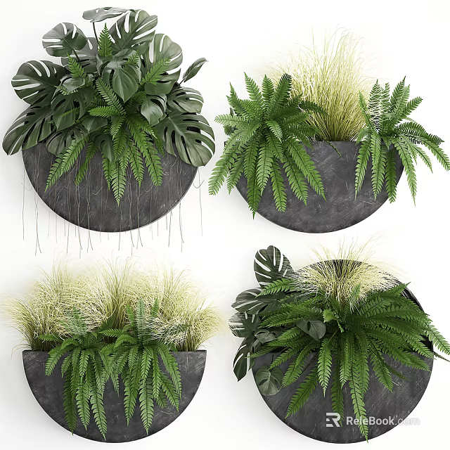 Bonsai Potted Plants With Ferns And Grasses In Black Round Wall Mounted Pots 3d model 