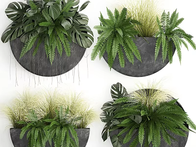 Bonsai Potted Plants With Ferns And Grasses In Black Round Wall Mounted Pots 3d model