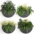 Bonsai Potted Plants With Ferns And Grasses In Black Round Wall Mounted Pots