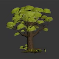 Green Grass With Trees In Lush Foliage Bare Trunks Small Sapling Stone And Mushrooms