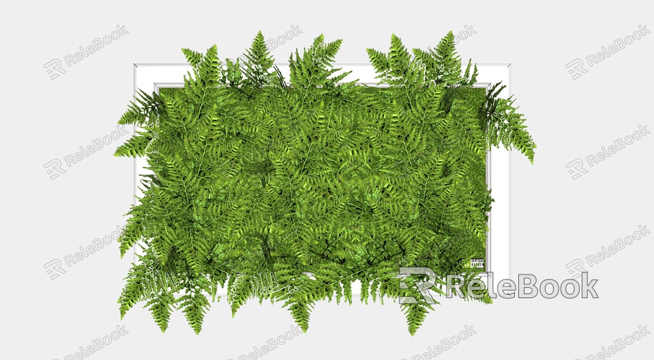 Green plant plant wall decoration plant model