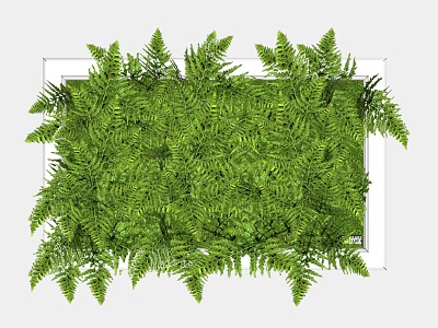 Green plant wall decoration plant model