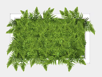 Living Plant Wall with Lush Green Ferns and White Frame for Modern Indoor Decoration 3d model