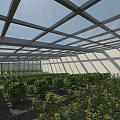 Industrial Factory With Glass Roof Steel Frame And Lush Indoor Greenery Plants