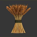 Golden Wheat Ears Bunch Tied With Green String On Dark Background