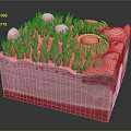 Head Organ 3D Rendered Cross Section Model with Hair Follicles and Skin Layers