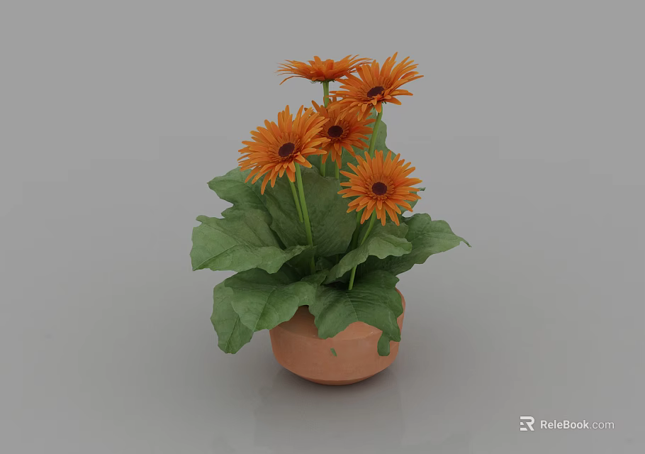 Potted Plant in Terracotta Pot with Vibrant Orange Flowers and Green Leaves 3d model 