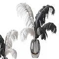Elegant Transparent Glass Vase With Black And White Feather Like Flowers