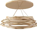 Post-modern special-shaped chandelier ceiling lamp 3d model