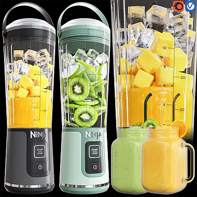Efficient Ninja Blenders Kitchen Appliances for Fresh Fruit Juices with Ice Cubes 3d model