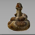 Realistic Coiled Snake With Open Mouth And Brown Beige Scales