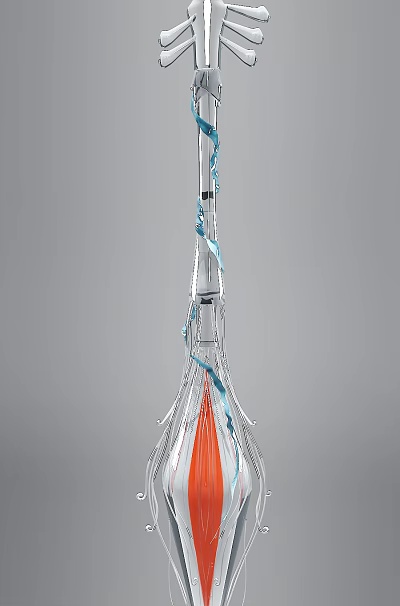Modern Silver Rocket Structure With Blue Accents And Red Engine Details 3d model