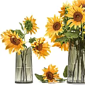Two Elegant Glass Vases With Fresh Sunflowers And Scattered Petals