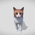 Detailed 3D Model of Brown and White Cat in Standing Pose with Gray Background