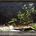 Indoor Landscape Design With Dark Rock Wall Green Plants Log And Round Light Fixtures