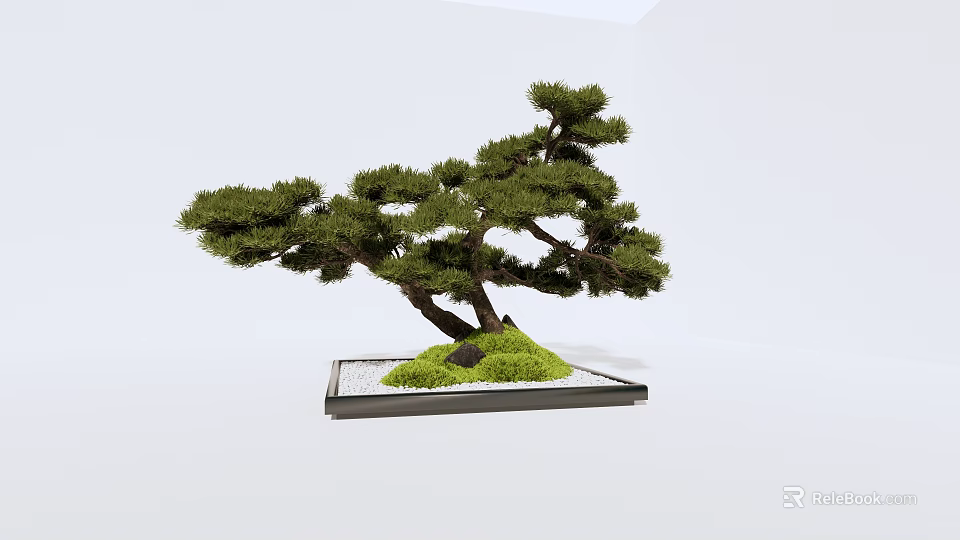 Artistic Bonsai Plant with Curved Trunk Green Foliage and Stone in Square Tray 3d model 