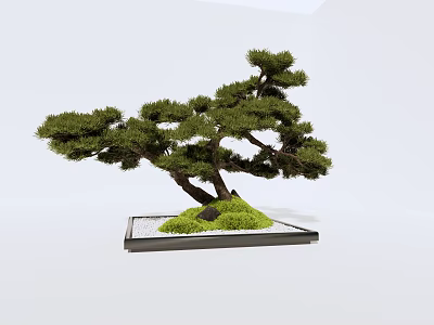 Artistic Bonsai Plant with Curved Trunk Green Foliage and Stone in Square Tray 3d model