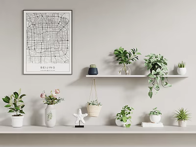 Hanging Basket Plants For Indoor Decor On White Shelves With Denver Map Wall Art 3d model