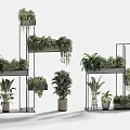 Bonsai Potted Plants on Multi Tiered Metal Frames with Various Green Hanging Plants Indoor