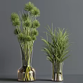 White Dried Flowers In Clear Glass Vases Elegant Home Decor Display Arrangement