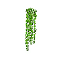 Lush Green Trailing Vine with Cascading Leaves for Home Decor
