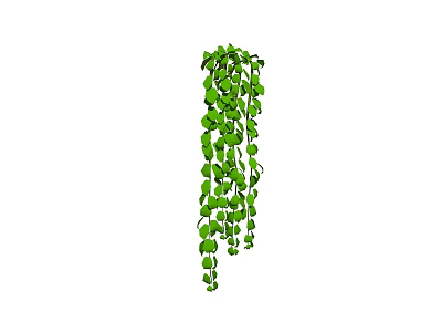 Lush Green Trailing Vine with Cascading Leaves for Home Decor 3d model